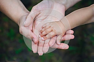 Three hands of the same family - father, mother and baby stay together. The concept of family unity, protection, support