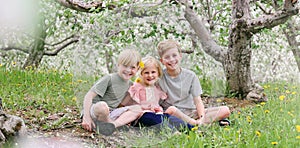 Three Happy Sibling Children Sitting Outside Under Flowering Apple Trees