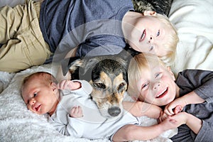 Three Happy Young Children Snuggling with Pet Dog in Bed