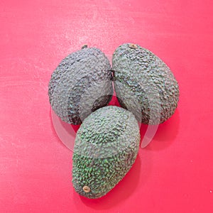 Three Hass avocados with dark green colored bumpy skin over light red background