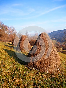 Tri stohy sena pripravené na lúke