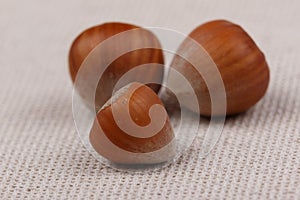 Three hazelnuts. Close-up