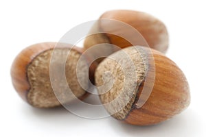 Three hazelnuts close up