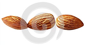 Three Hazelnuts Composition, Close-up View, Isolated on White Background, nut, hazelnut