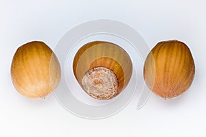 Three hazelnuts in a row on a white background