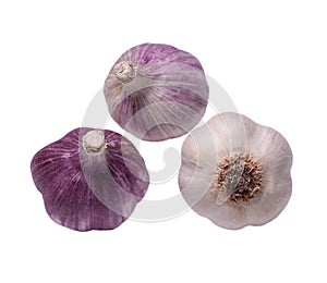 Three heads of garlic with pink, purple and white husks.