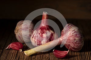 Three heads and prongs of fresh red garlic