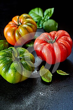 Three healthy wet fresh tomatoes with copy space