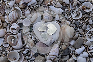 Three Hearts on a Rock on Sea Shells.