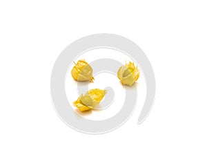 Three homegrown ground cherries with open papery husk Polish heirloom variety of Aunt Molly cherry berry fruits isolated on white