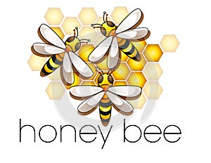 Three honeybees in a beehive photo