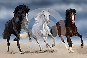 Three horse run