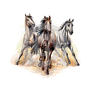 Three horses run gallop from a splash of watercolor, hand drawn sketch