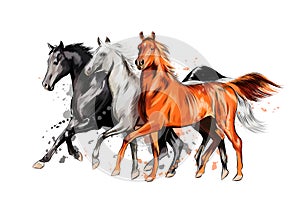 Three horses run gallop from a splash of watercolor, hand drawn sketch