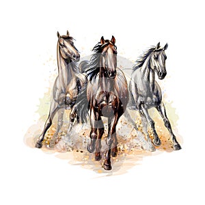 Three horses run gallop from a splash of watercolor, hand drawn sketch photo