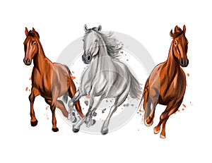 Three horses run gallop from splash of watercolors, colored drawing, realistic