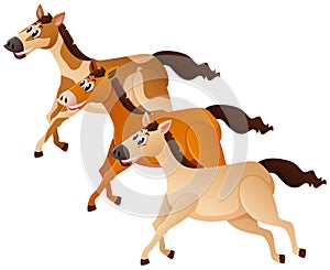 Three horses running in group