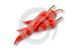 Three hot chilly pepper on the white