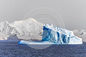 Three huge blue icebergs drifting across the sea in the middle o