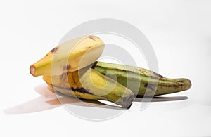 Three huge green bananas, fresh and ready to cook.