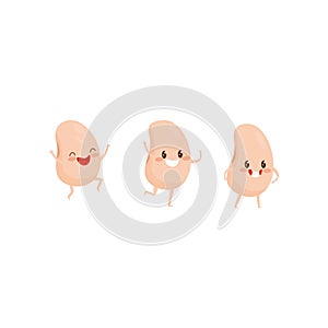 Three humanized soy beans. Characters with happy faces. Funny soybeans. Organic and healthy product. Flat vector design