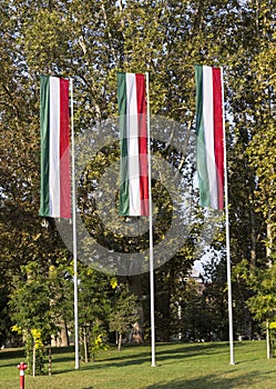 Three Hungarian flags