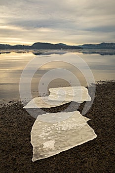 Three ice floes on dark sand on Norwegian beach. Calm sea, mist and fog. Hamresanden, Kristiansand, Norway