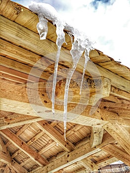 Three icicles that melt on the roof with falling drop of water