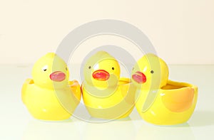 Three interesting ducks