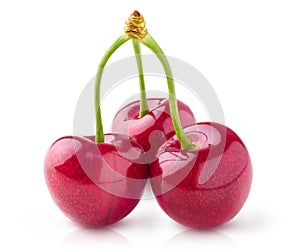 Three isolated cherries