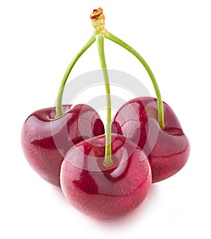 Three isolated cherries on a stem