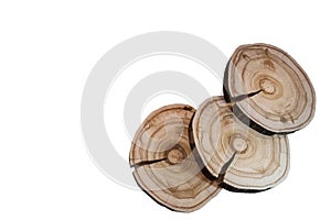 Three isolated on white background larch transverse saw cuts.