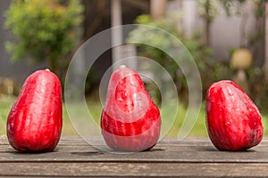 Three Jambu Guava on Wood Ground in Garden