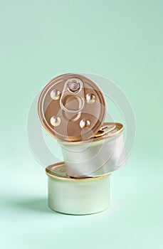 Three Jars of cat food on a mint background. Round tin can with pull tab lid. Canned food metal package, mock-up. Blank