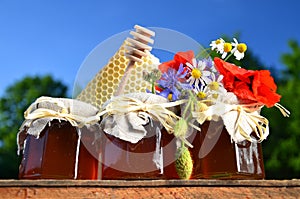 Three jars full of delicious fresh honey, piece of honeycomb honey dipper and wild flowers in apiary