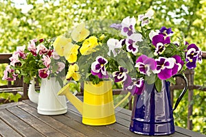 Three jugs with pansy bouquets
