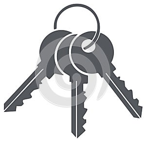 Three Keys on a Ring, Security or Access Illustration, Simple Flat Icon, Keys Isolated