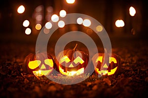 Three Kind Halloween Pumpkins in the park