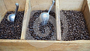 Three kinds of black coffee beans in crate with scoop