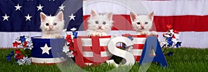 Three kittens in patriotic pots USA blocks Flag background banner