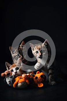 Three kittens are playing with a stuffed animal. Generative AI image.