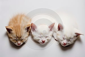 Three kittens are sleeping together on a white surface. AI generative image