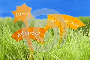 Three Labels With French Merci Which Means Thank You And Blue Sky