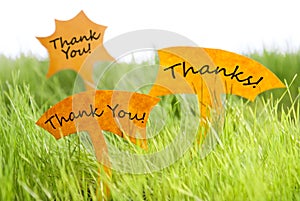 Three Labels With Thank You And Thanks On Grass