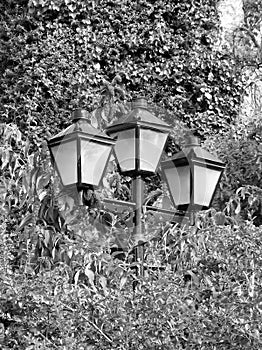 Three Lamps