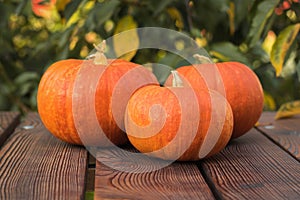 Three large ripe pumpkins on a wooden table.