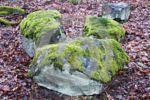 Three large rocks covered in moss