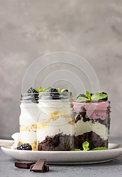 Three layered desserts with vanilla and chocolate cake, whipped cream and blackberries