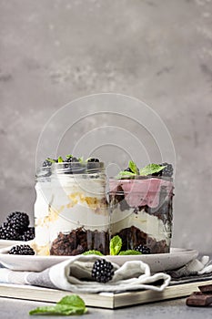 Three layered desserts with vanilla and chocolate cake, whipped cream and blackberries