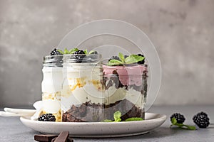 Three layered desserts with vanilla and chocolate cake, whipped cream and blackberries